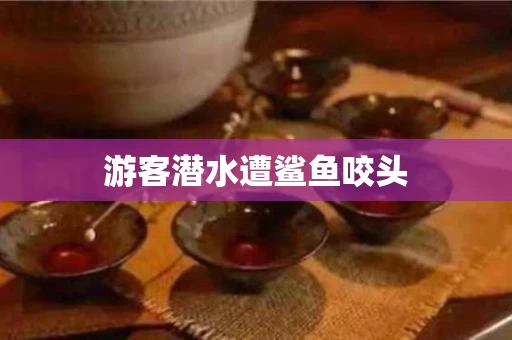游客潜水遭鲨鱼咬头