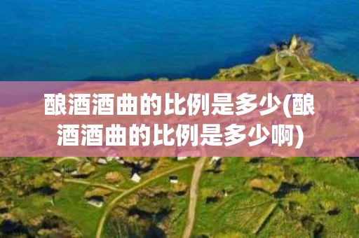 酿酒酒曲的比例是多少(酿酒酒曲的比例是多少啊)