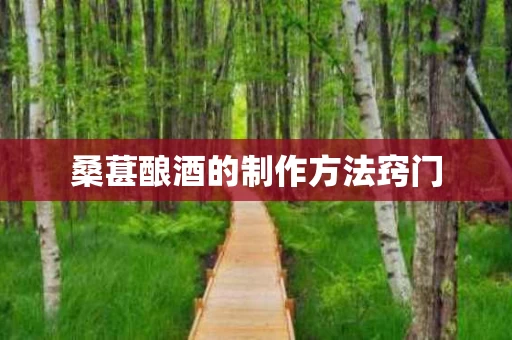 桑葚酿酒的制作方法窍门