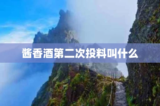 酱香酒第二次投料叫什么