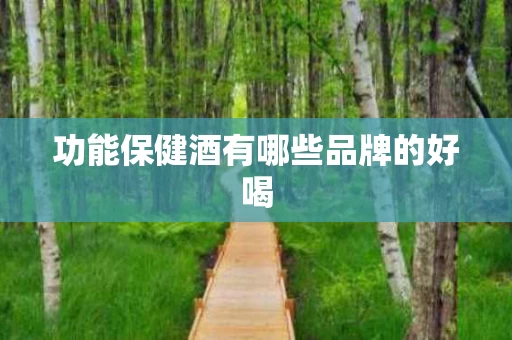 功能保健酒有哪些品牌的好喝