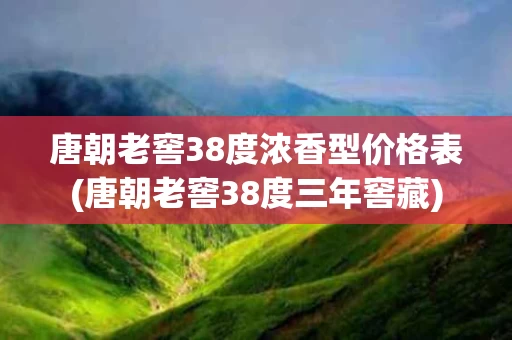唐朝老窖38度浓香型价格表(唐朝老窖38度三年窖藏)