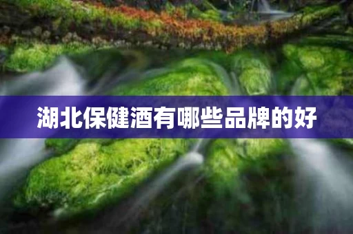湖北保健酒有哪些品牌的好