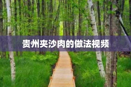 贵州夹沙肉的做法视频