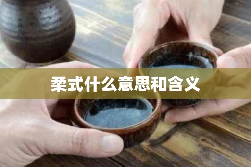 柔式什么意思和含义