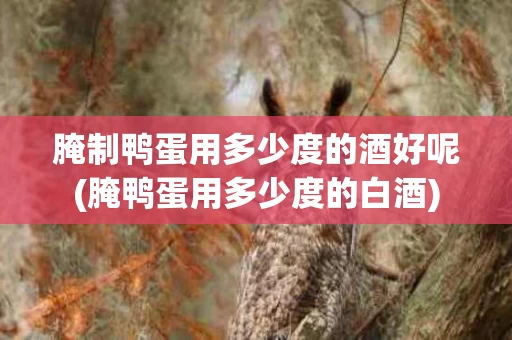 腌制鸭蛋用多少度的酒好呢(腌鸭蛋用多少度的白酒)