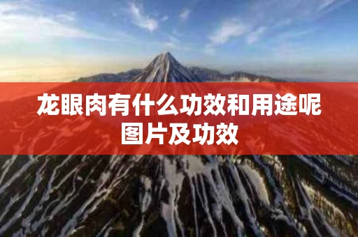 龙眼肉有什么功效和用途呢图片及功效