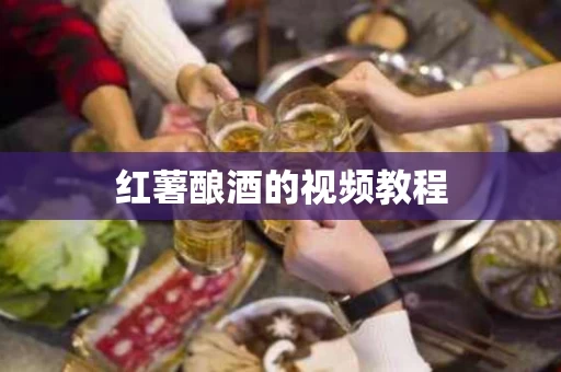 红薯酿酒的视频教程