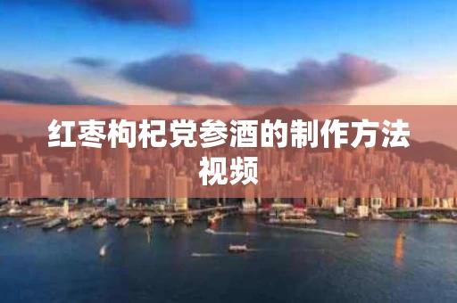 红枣枸杞党参酒的制作方法视频
