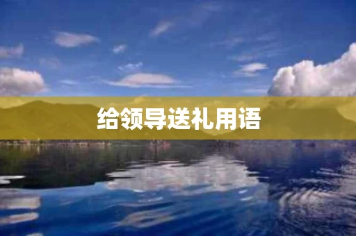给领导送礼用语