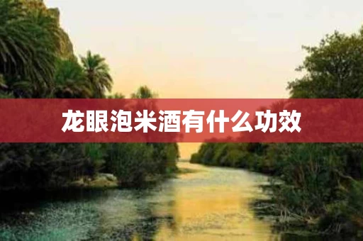 龙眼泡米酒有什么功效