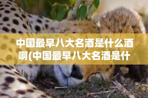中国最早八大名酒是什么酒啊(中国最早八大名酒是什么酒啊图片)