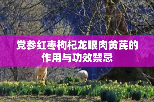 党参红枣枸杞龙眼肉黄芪的作用与功效禁忌