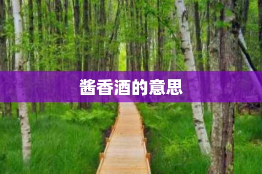 酱香酒的意思