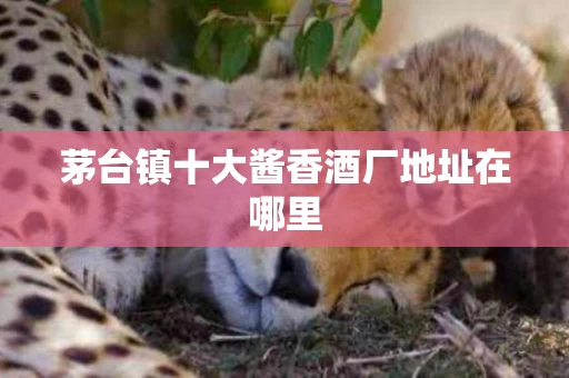 茅台镇十大酱香酒厂地址在哪里