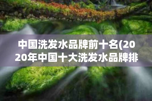 中国洗发水品牌前十名(2020年中国十大洗发水品牌排行榜)