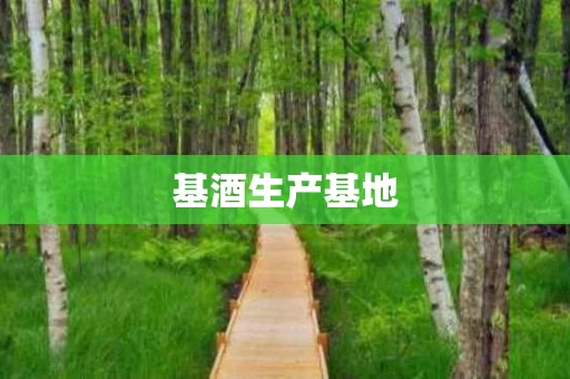 基酒生产基地