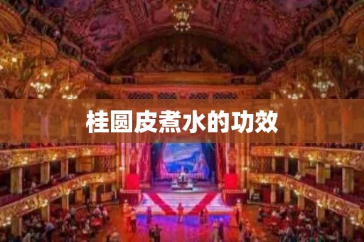 桂圆皮煮水的功效