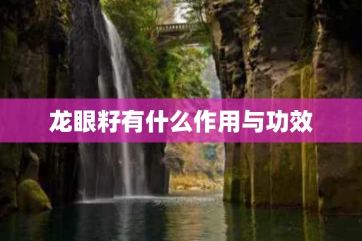 龙眼籽有什么作用与功效