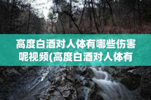 高度白酒对人体有哪些伤害呢视频(高度白酒对人体有哪些伤害呢视频解说)