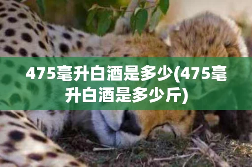 475毫升白酒是多少(475毫升白酒是多少斤)