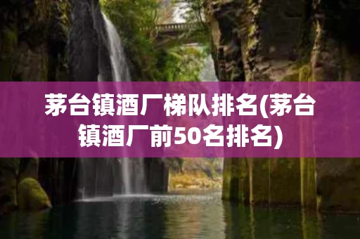 茅台镇酒厂梯队排名(茅台镇酒厂前50名排名)