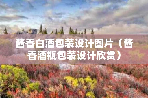 酱香白酒包装设计图片（酱香酒瓶包装设计欣赏）