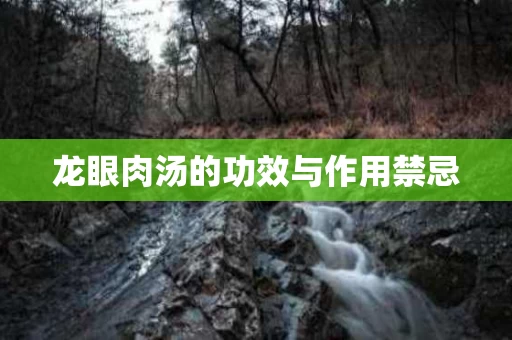 龙眼肉汤的功效与作用禁忌