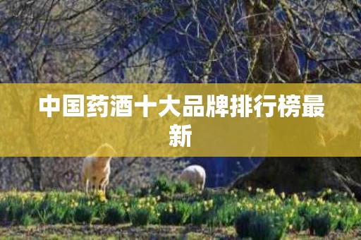 中国药酒十大品牌排行榜最新