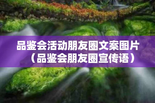 品鉴会活动朋友圈文案图片（品鉴会朋友圈宣传语）