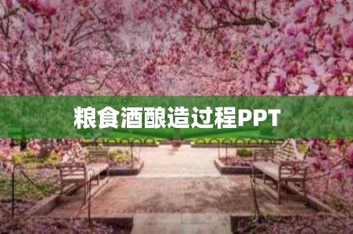 粮食酒酿造过程PPT