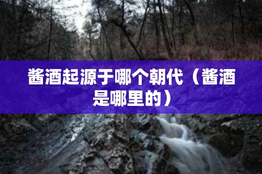 酱酒起源于哪个朝代（酱酒是哪里的）