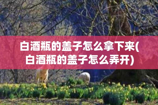 白酒瓶的盖子怎么拿下来(白酒瓶的盖子怎么弄开)