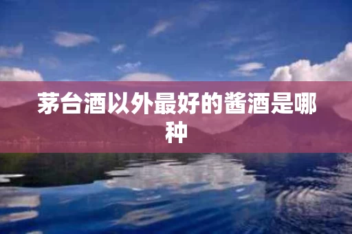 茅台酒以外最好的酱酒是哪种