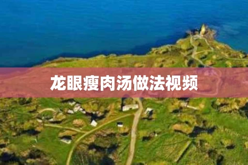 龙眼瘦肉汤做法视频