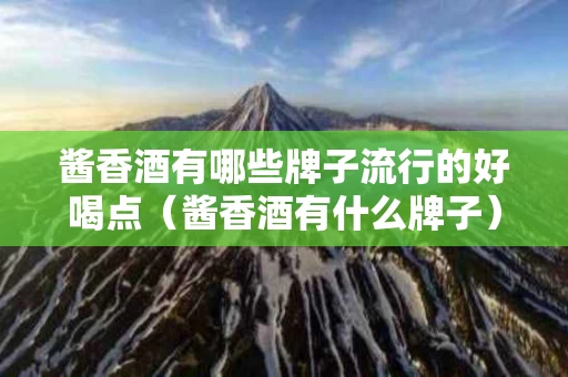 酱香酒有哪些牌子流行的好喝点（酱香酒有什么牌子）