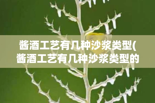 酱酒工艺有几种沙浆类型(酱酒工艺有几种沙浆类型的)