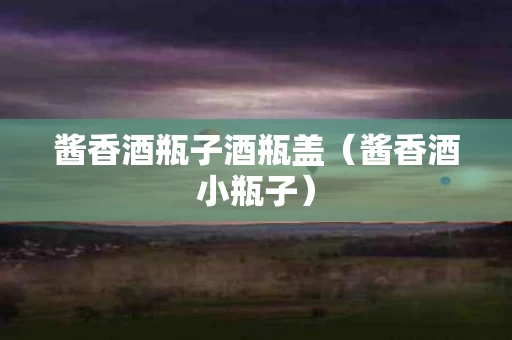 酱香酒瓶子酒瓶盖（酱香酒小瓶子）