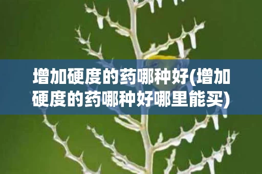 增加硬度的药哪种好(增加硬度的药哪种好哪里能买)