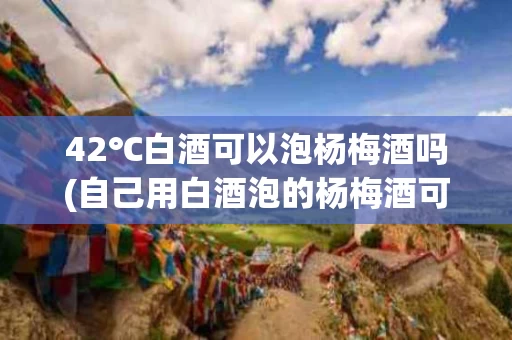 42℃白酒可以泡杨梅酒吗(自己用白酒泡的杨梅酒可以放多久)