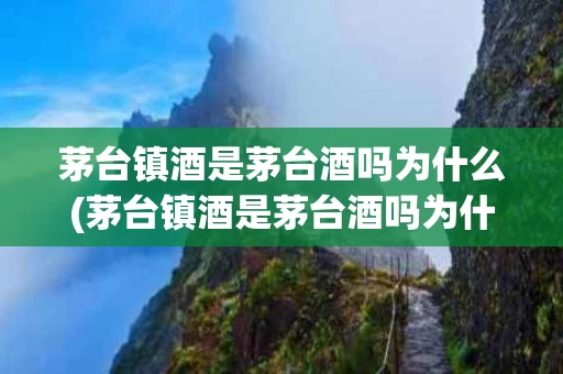 茅台镇酒是茅台酒吗为什么(茅台镇酒是茅台酒吗为什么那么便宜)