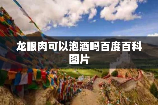 龙眼肉可以泡酒吗百度百科图片