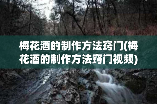梅花酒的制作方法窍门(梅花酒的制作方法窍门视频)