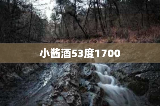 小酱酒53度1700 小酱酒53度1700