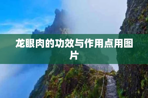 龙眼肉的功效与作用点用图片