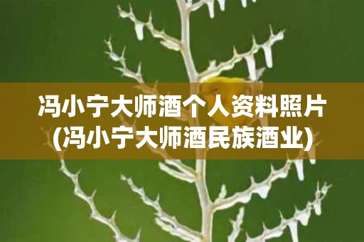 冯小宁大师酒个人资料照片(冯小宁大师酒民族酒业)