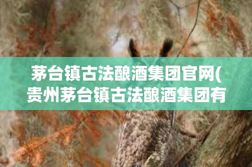 茅台镇古法酿酒集团官网(贵州茅台镇古法酿酒集团有限责任公司)