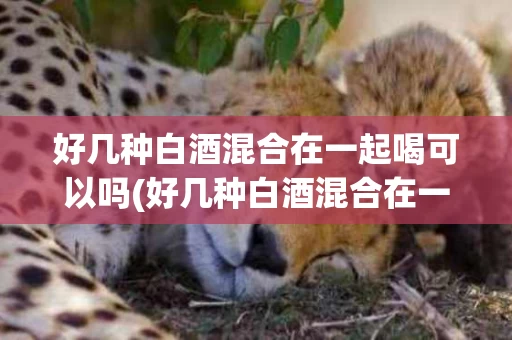 好几种白酒混合在一起喝可以吗(好几种白酒混合在一起喝可以吗女生)