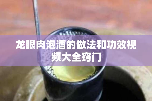 龙眼肉泡酒的做法和功效视频大全窍门