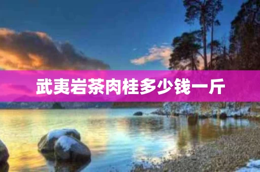 武夷岩茶肉桂多少钱一斤